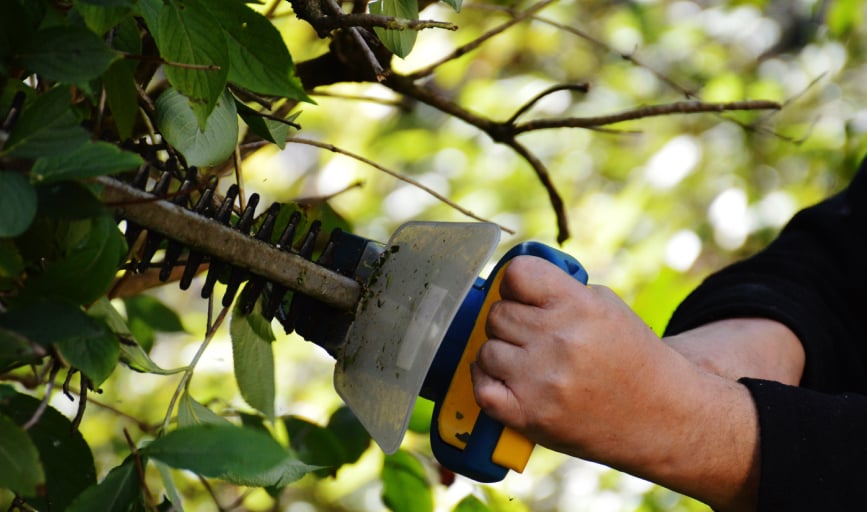 Cashmans Lawn Care and Landscape